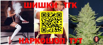 тгк Можга
