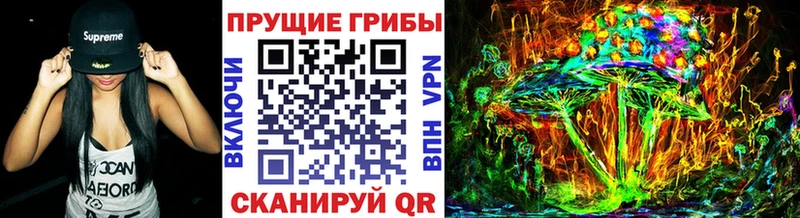 KRAKEN маркетплейс  Арсеньев  Галлюциногенные грибы GOLDEN TEACHER 