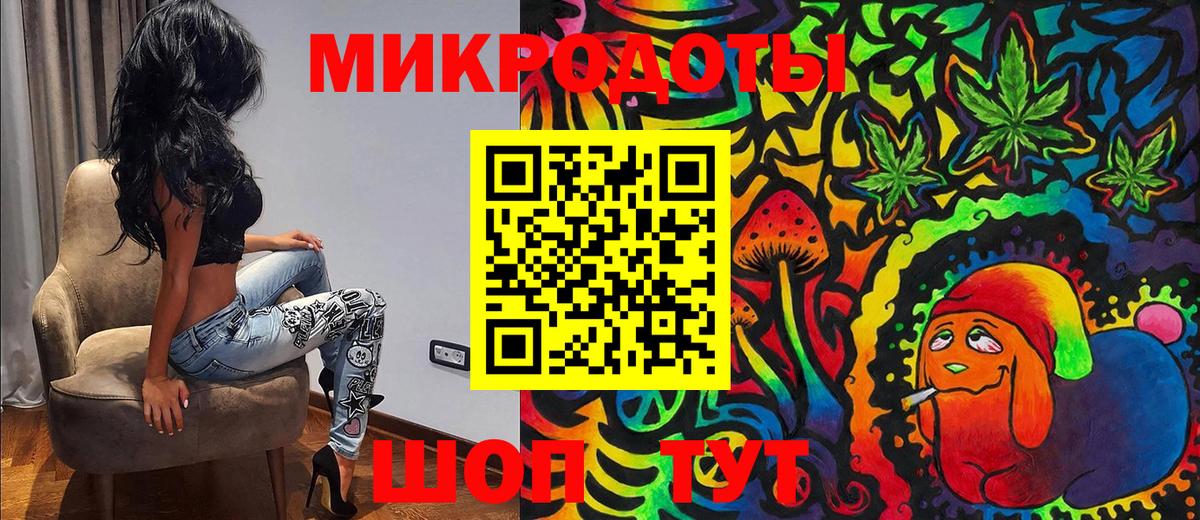 Псилоцибиновые грибы Psilocybe  Вход с VPN  Арсеньев 